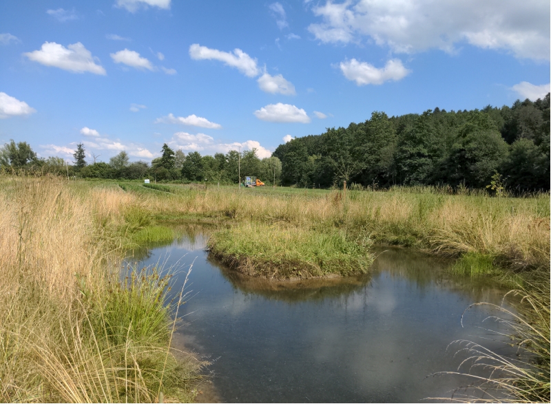 Beispiel Farngut: Anlage eines kleinen Teiches zwischen Gemüsekulturen