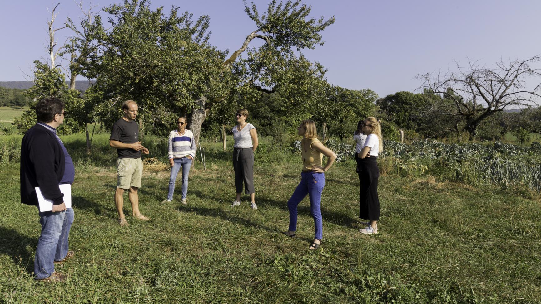 Bildungsangebote, Agrarökologie, Praxis, Hofbegehung, Bildung, Natur, Draussen, Solidarische Landwirtschaft