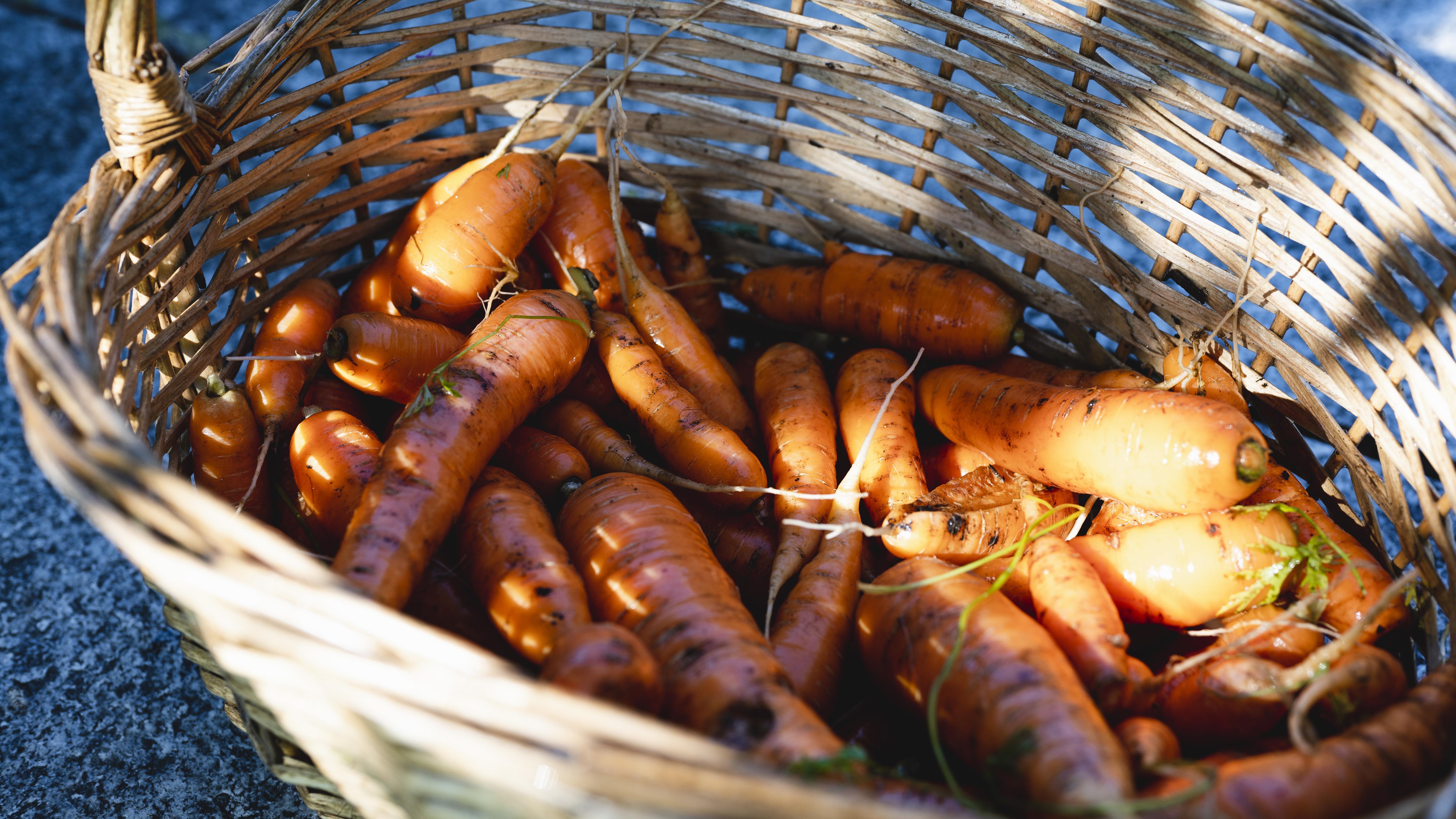 Karotten, Korb, Flechtkorb