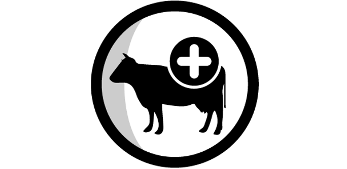 Prinzipien der Agrarökologie nach HLPE