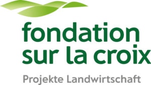 Logo-Fondation Sur-la-Croix