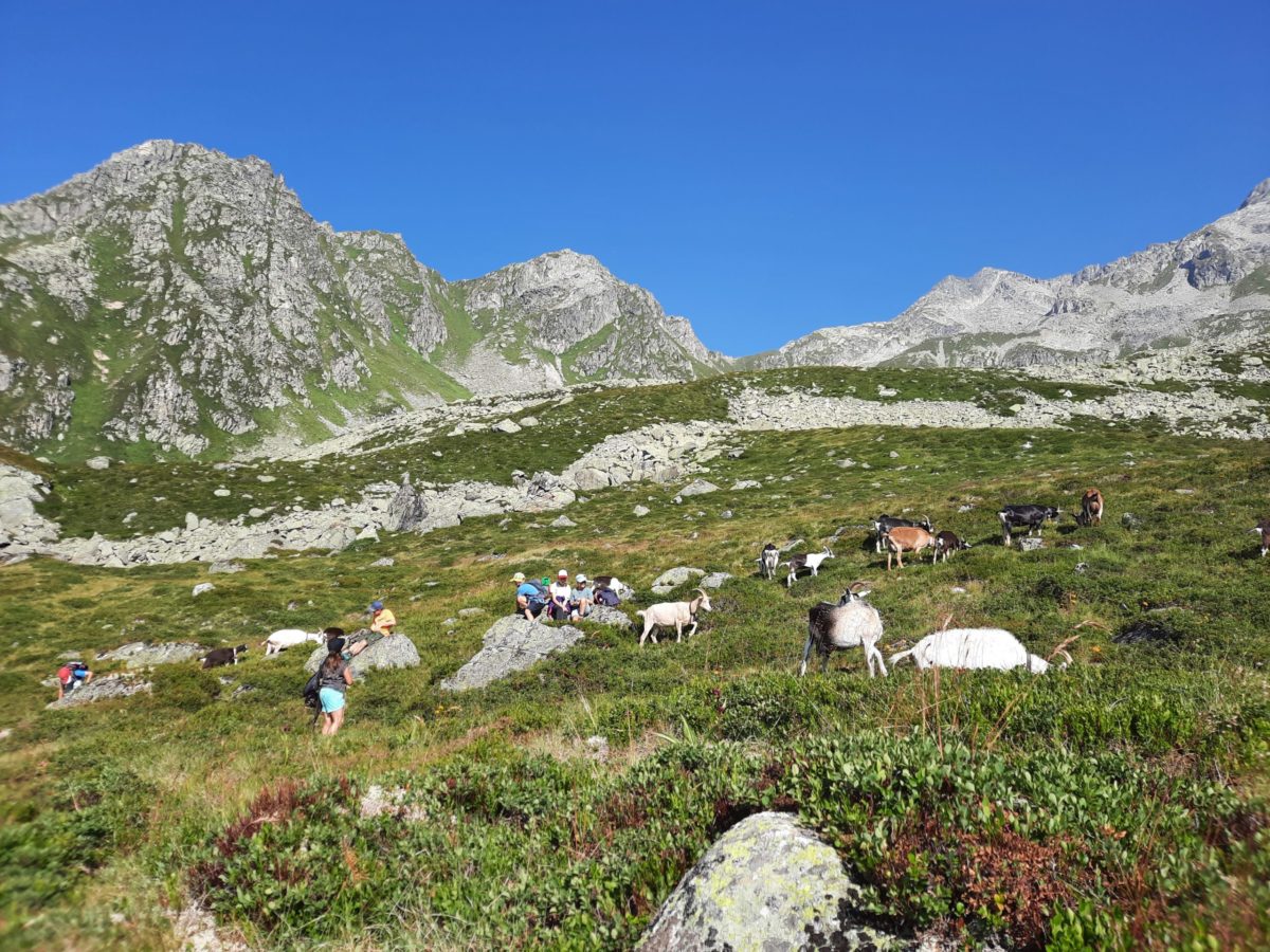 Schulklasse auf Alp Glivers © Nadja Deplazes