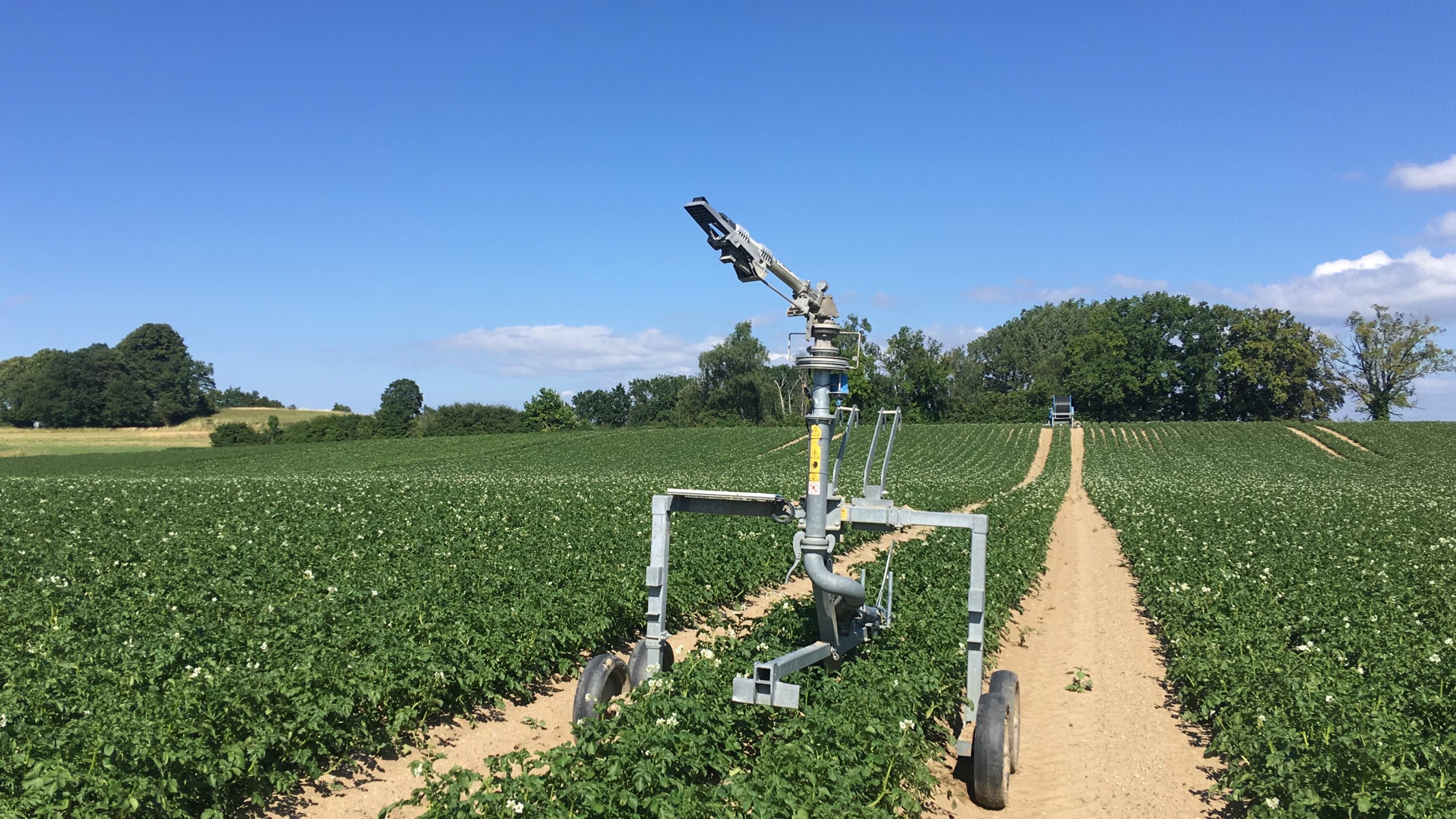 Effiziente Bewässerung