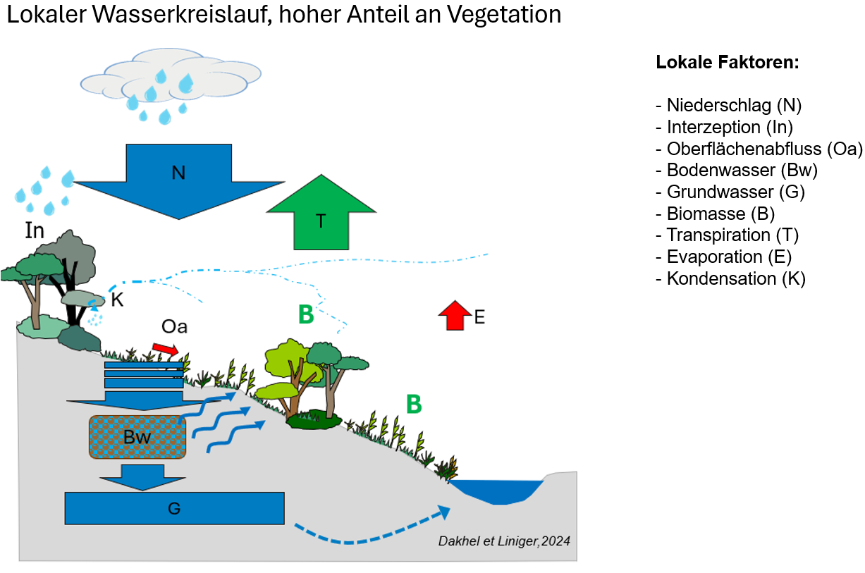 Wasserkreislauf und Landwirtschaft