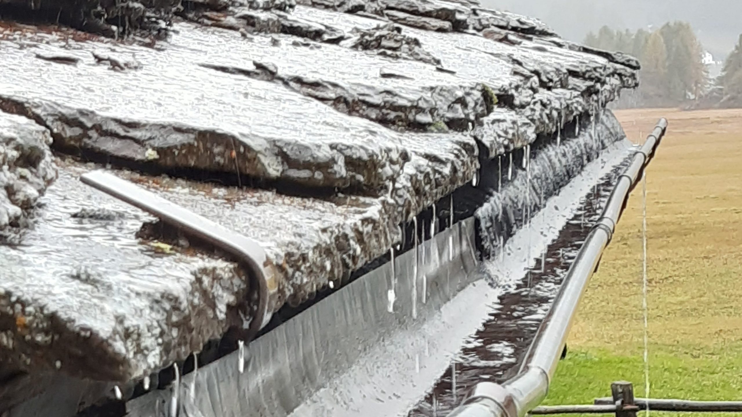 Politische Grundlagen und Trends