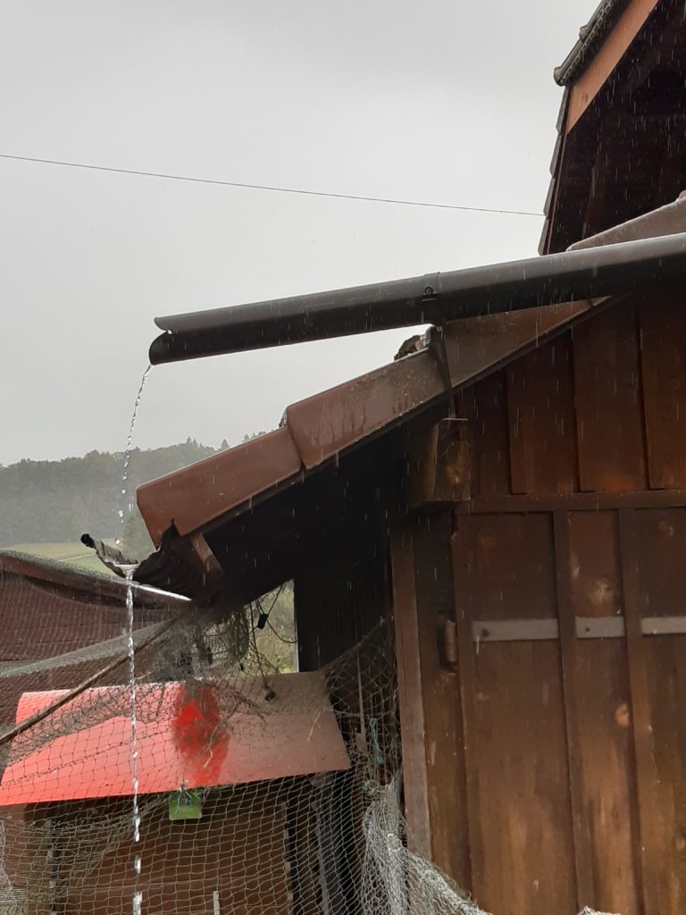 Wasser sammeln und wiederverwenden