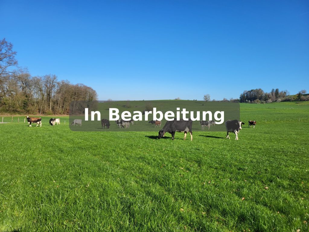 Beratungsleitfaden