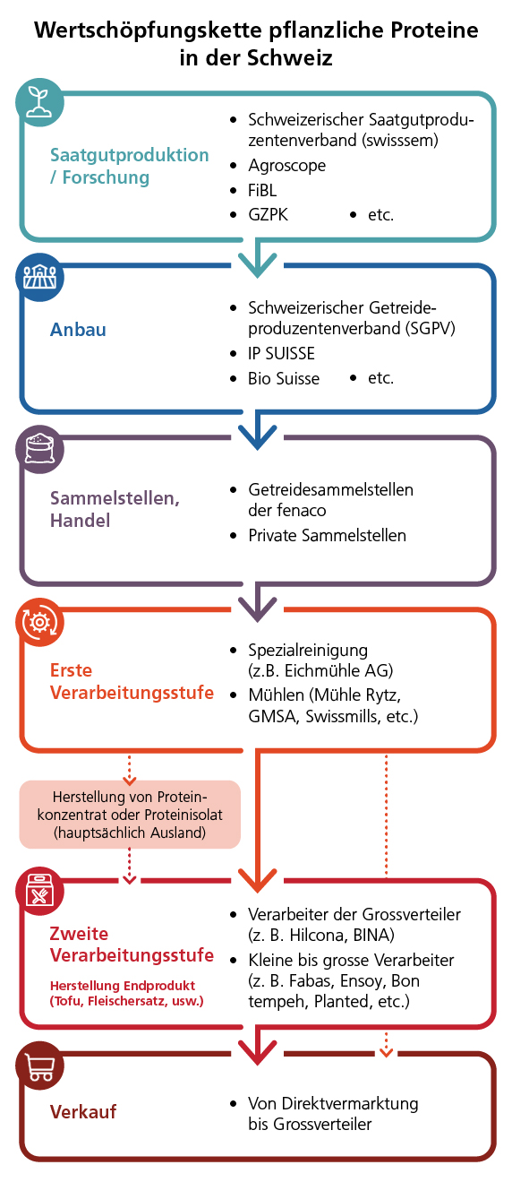 Wertschöpfungskette pflanzliche Proteine in der Schweiz