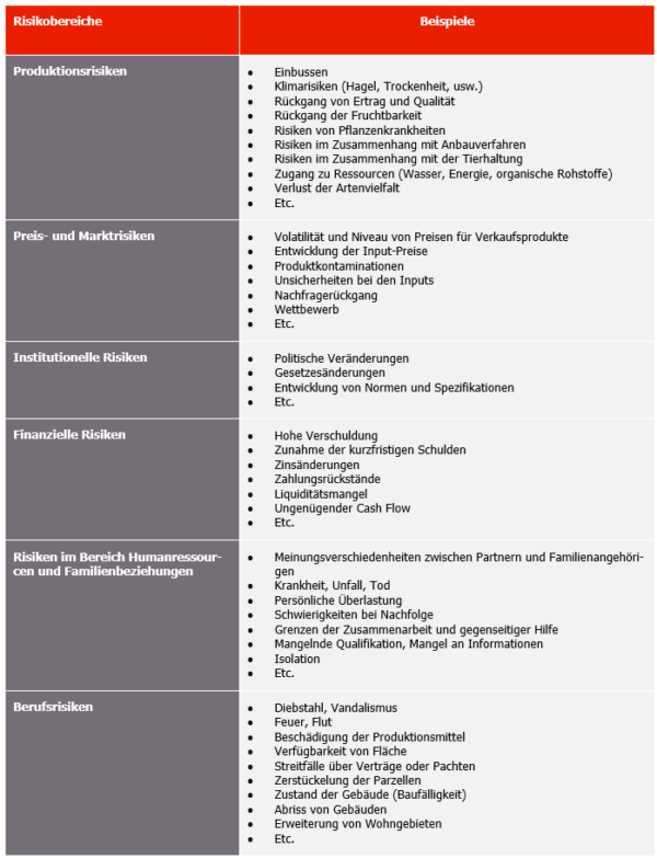 Bewertung der strategischen Risiken – Strategidea